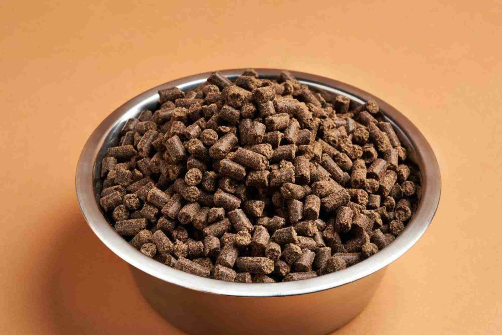 Dog Food