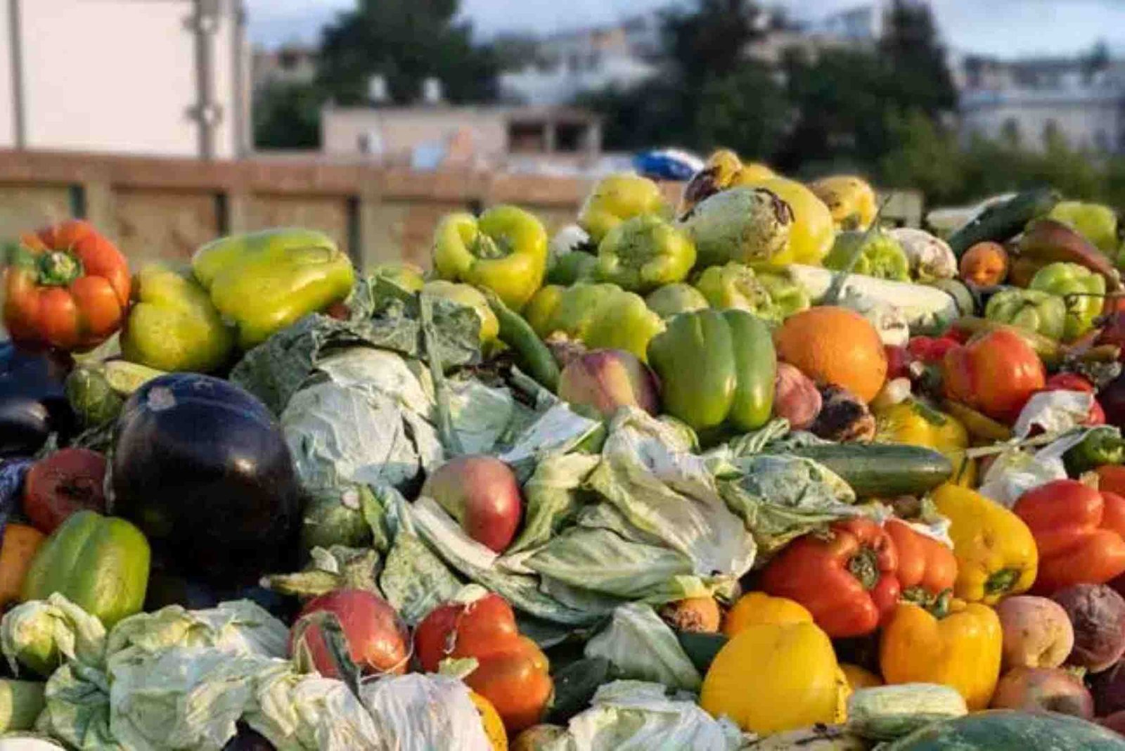 Food Waste Management in UAE
