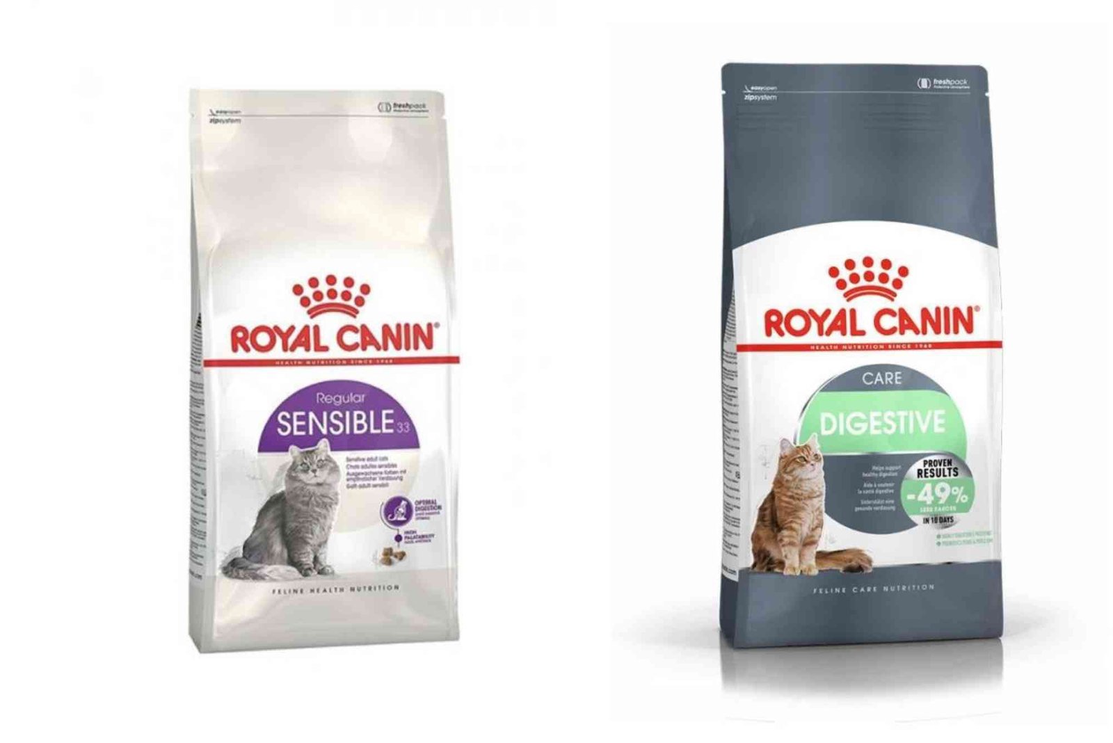 Royal Canin Dry Cat Food