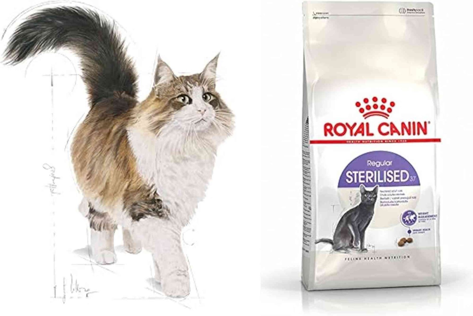 Royal Canin Indoor Cat Food